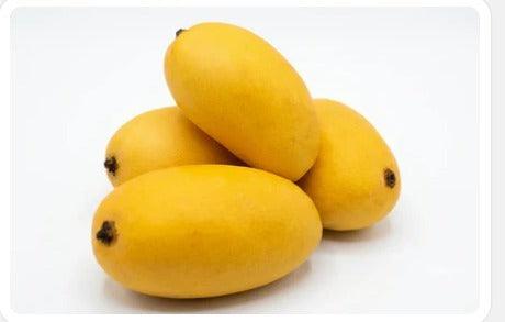 Fresh Chaunsa Mangoes Online Pakistan | Farm Fresh Chaunsa Mangoes